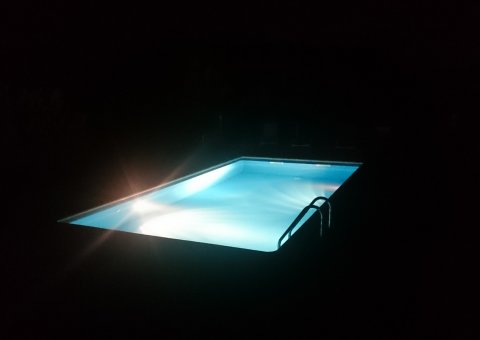 der Pool