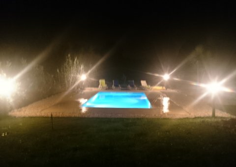 der Pool
