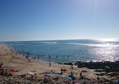 Pedragao praia nova