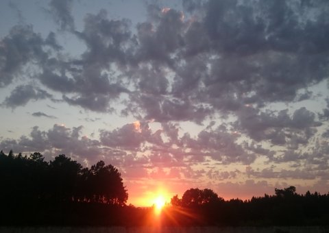 Sonnenuntergang im Garten