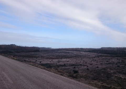 Brände Okt. 2018 