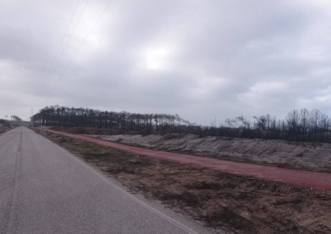 Brände Okt. 2018 
