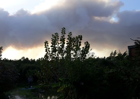 Brände Herbst 2018