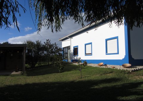 Das Haus mit Garten