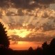 Sonnenuntergang im Garten