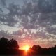 Sonnenuntergang im Garten