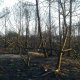 img-20180114-wa00171